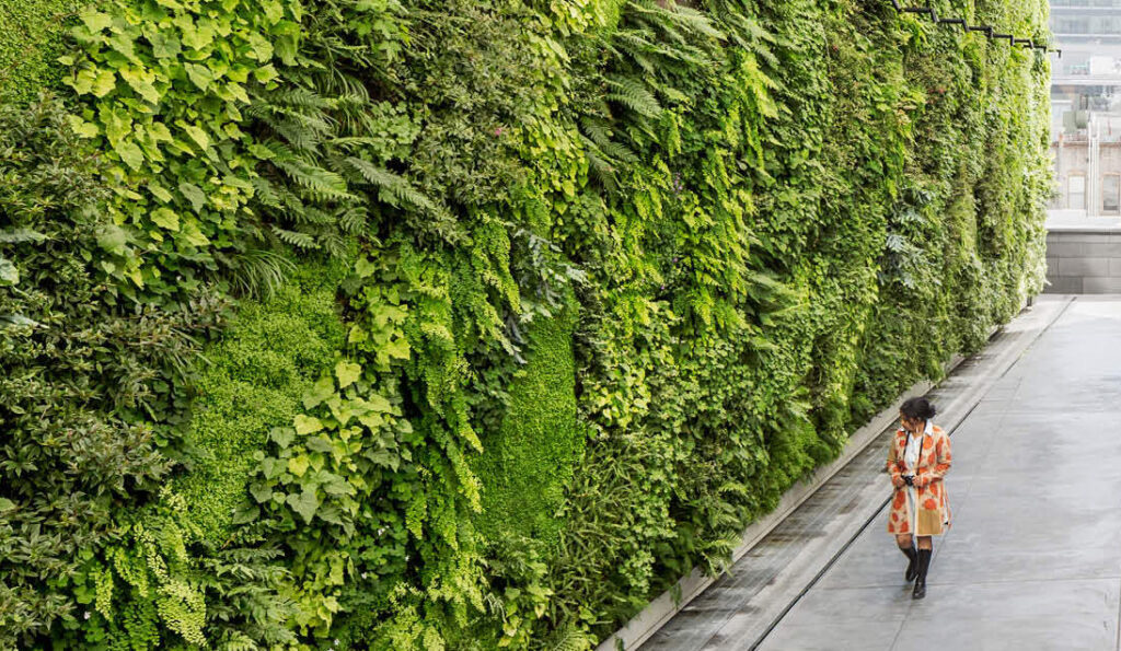 Bringing Nature to Urban Living with a Vertical Green Wall System