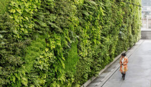 Bringing Nature to Urban Living with a Vertical Green Wall System